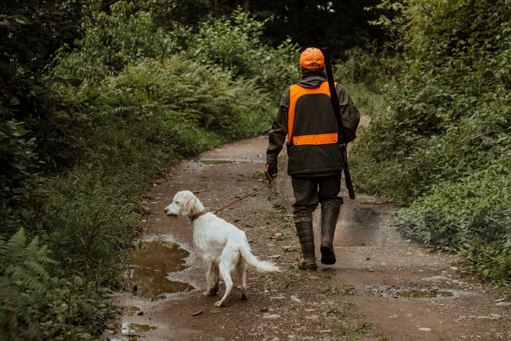 Comment Choisir le Bon Collier GPS pour Votre Chien de Chasse