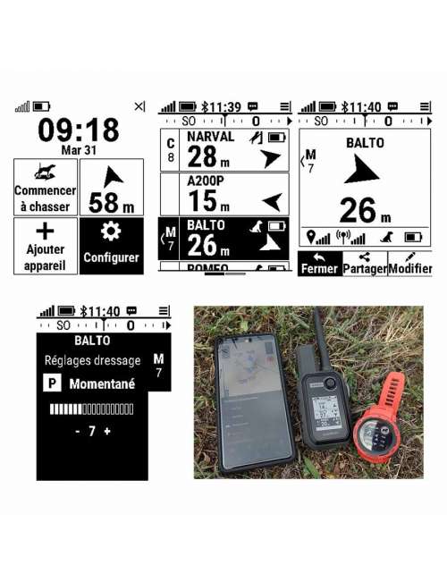 Garmin ALPHA 10 F