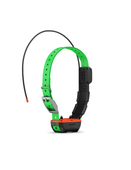 Collier de repérage et dressage TT25 F Garmin