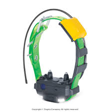 Collier supplémentaire Pathfinder 2 Mini Dogtra
