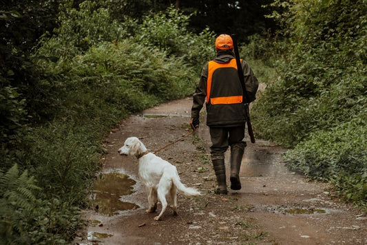 Comment Choisir le Bon Collier GPS pour Votre Chien de Chasse