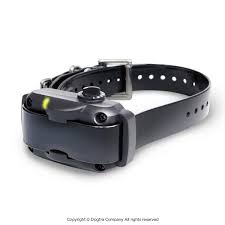 Collier Anti-Aboiement Dogtra Ys600