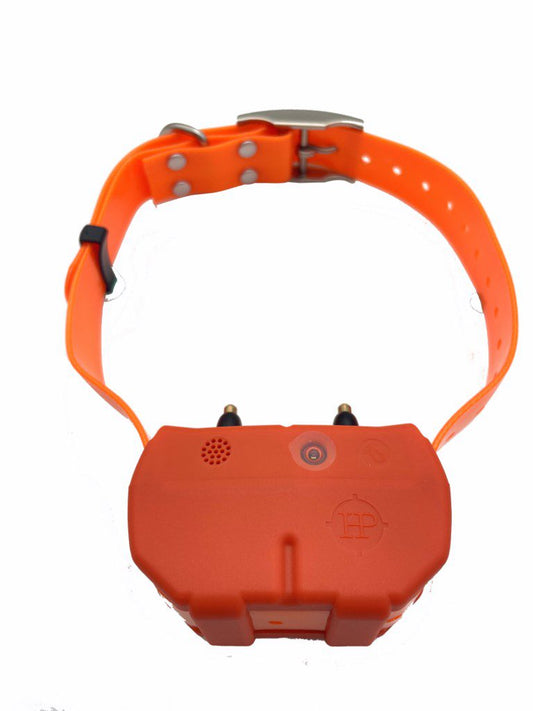 COLLIER DOGZE 4G – Balise GPS de repérage et dressage 4G