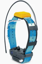 Collier supplémentaire Pathfinder 2 Dogtra