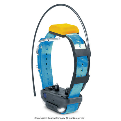 Collier supplémentaire Pathfinder 2 Dogtra