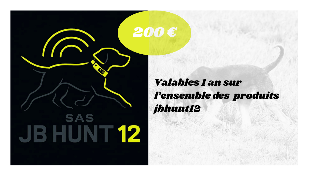 Carte cadeau jbhunt12