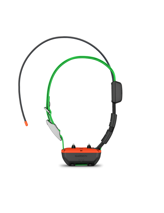 Collier de repérage et dressage TT25 F Garmin