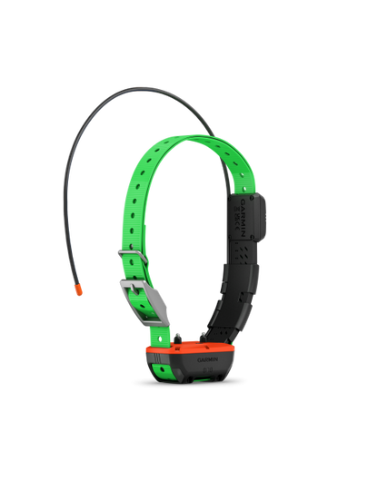 Collier de repérage et dressage TT25 F Garmin