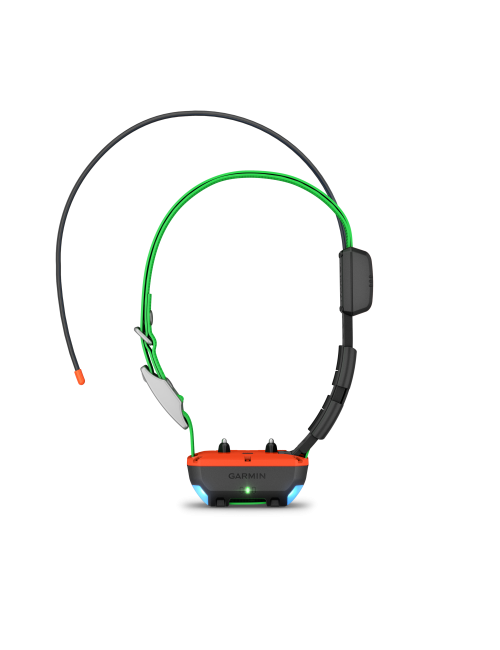 Collier de repérage et dressage TT25 F Garmin