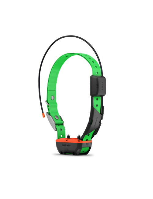 Collier de repérage et dressage TT25 F Garmin