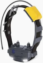 Collier supplémentaire Pathfinder 2 Dogtra