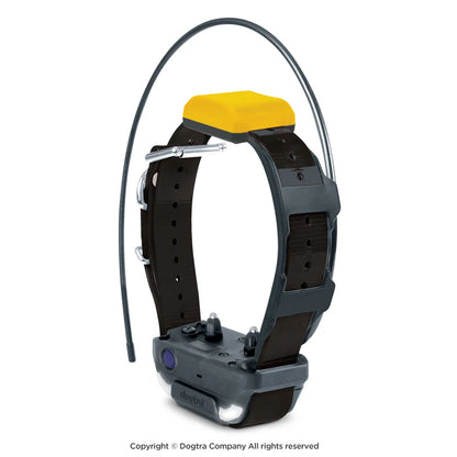 Collier supplémentaire Pathfinder 2 Dogtra