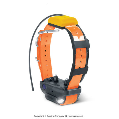 Collier supplémentaire Pathfinder 2 Dogtra
