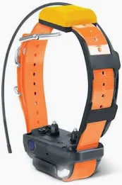 Collier supplémentaire Pathfinder 2 Dogtra