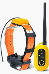 Kit repérage dressage Pathfinder 2 Dogtra